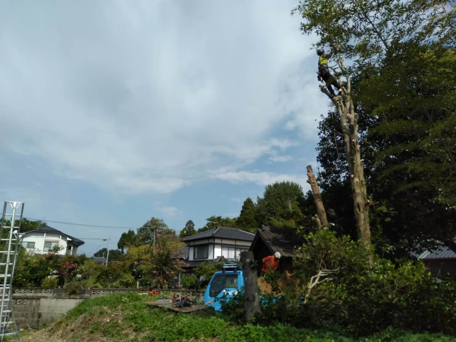 LINE_ALBUM_笛印　冨永邸　山鹿市藤井_230314_2